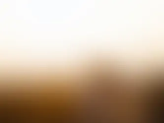 Interstellar Affection