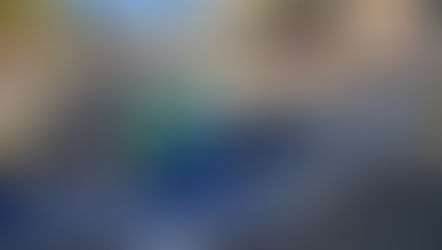 Metamora Canal Days taking place this weekend