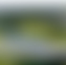 Dearborn Community Foundation to host golf scramble on August 3