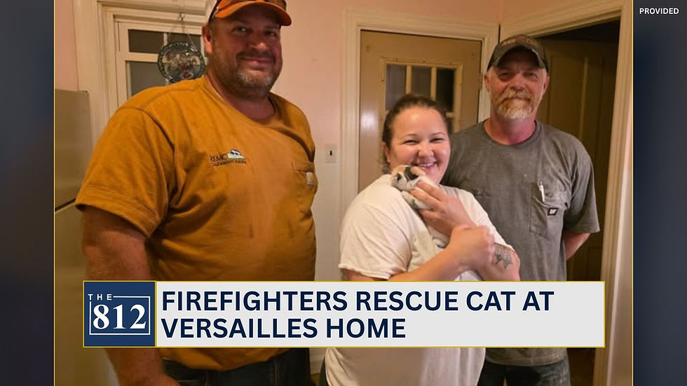 Firefighters rescue cat at Versailles home