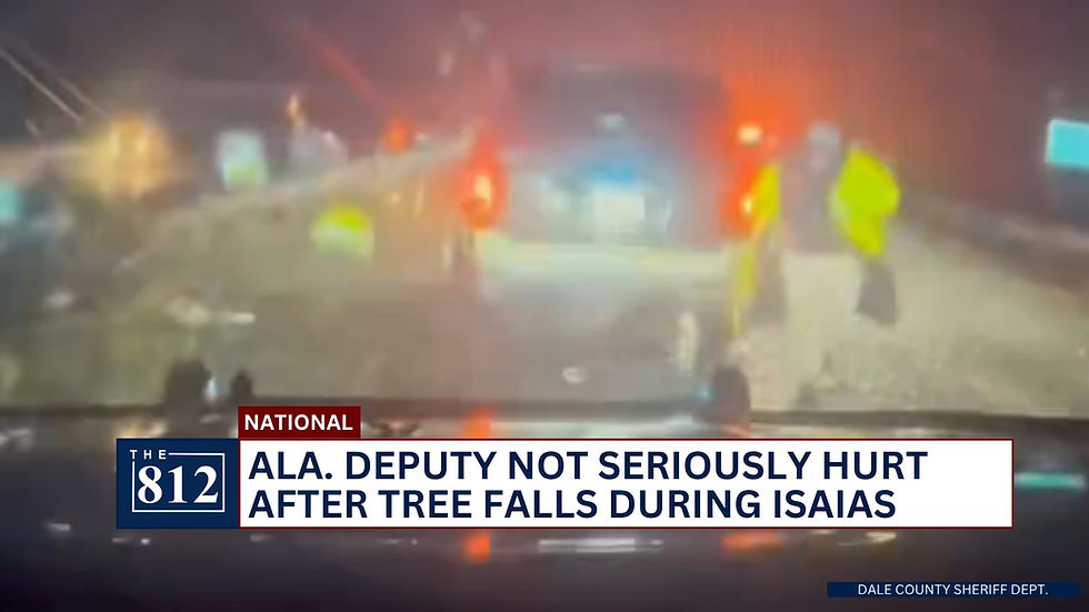 Alabama deputy avoid serious injury after tree falls on car during Isaias