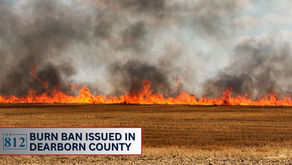 Burn ban issued in Dearborn County on Friday