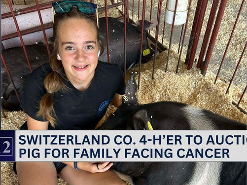 Switzerland Co. 4-H'er to auction pig for family facing cancer
