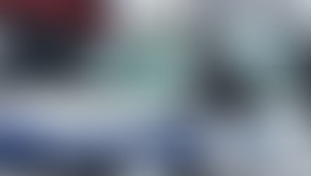 Turkey strikes Jackson County ambulance