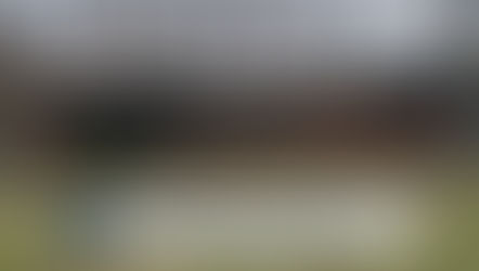 Fundraiser launched after couple rescued from Napoleon fire 