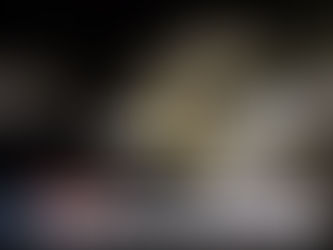 Photos: 15 gray wolves released in Colorado 