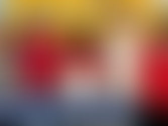 Bright Elementary students author original book