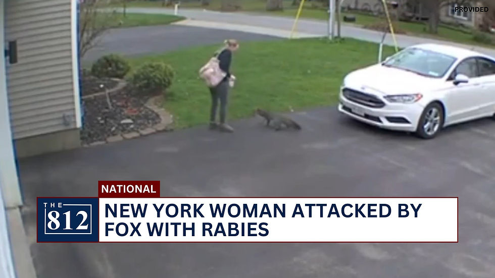 New York woman bit by fox with rabies