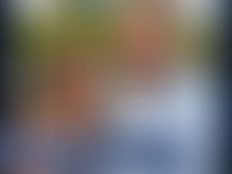 Scammer impersonates Batesville family after house fire 