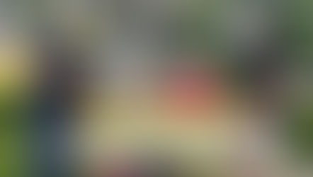 Batesville officers support local lemonade stands on Thursday