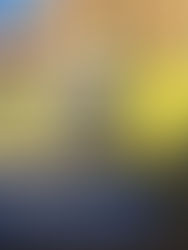 Oldenburg Fire to host Chicken Fry on May 1