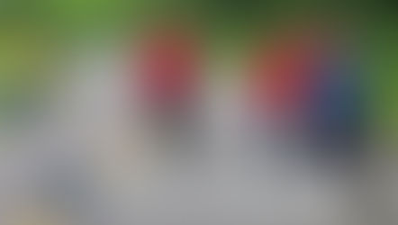 Volunteers invited to litter cleanup in Bright on April 12