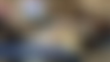 Civics Literacy Lab in Batesville on April 15