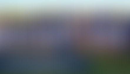 Several cross country teams qualify for Regionals on Saturday