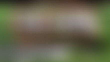 Greendale 8th grade caps off perfect season