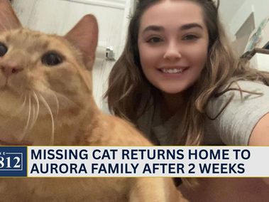Aurora woman finds missing cat after  2 weeks