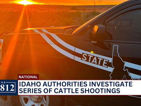 Idaho authorities investigate series of cattle shootings 