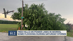 Tree falls on power lines in Morris area during storms Saturday