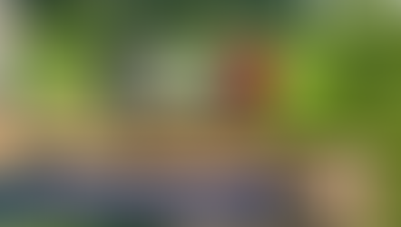 OA student earns Eagle Scout through school project