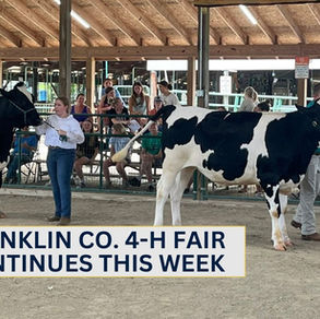 Franklin Co. 4-H Fair continues this week