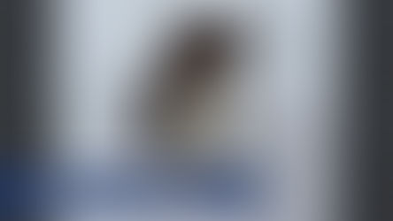 Dearborn Co. family offering $1K reward for missing dog