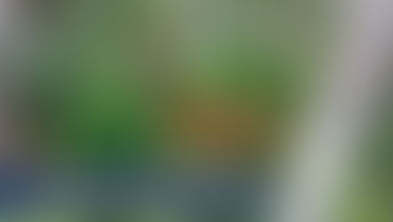 Jennings County leads state in suspected deer EHD cases