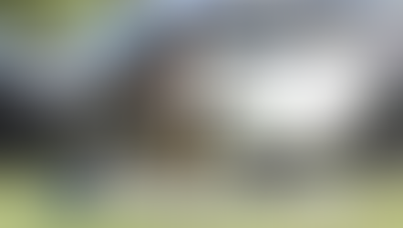 Ripley County K9, handler win awards at multi-state competition