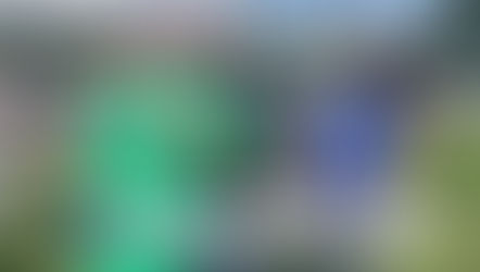 Family of Vietnam veteran surprised with monument in AuroraÂ