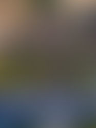 Lawrenceburg to celebrate America's 250th anniversary Saturday