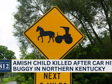Amish child killed after car hit buggy in KY