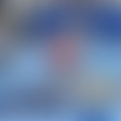 Local girls wrestlers finish season at state