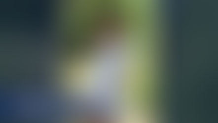 Greensburg senior named Lilly winner for Decatur County