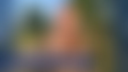 Inaugural 'Paws for a Purpose' in Batesville Saturday