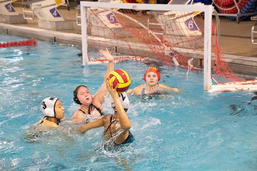 School League Playoffs and Finals