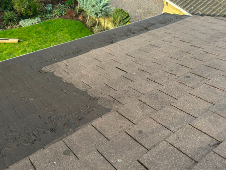 Roof cleaning: Maintaining your roof for a safe and dry home