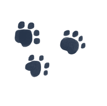 paw prints