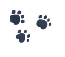 paw prints