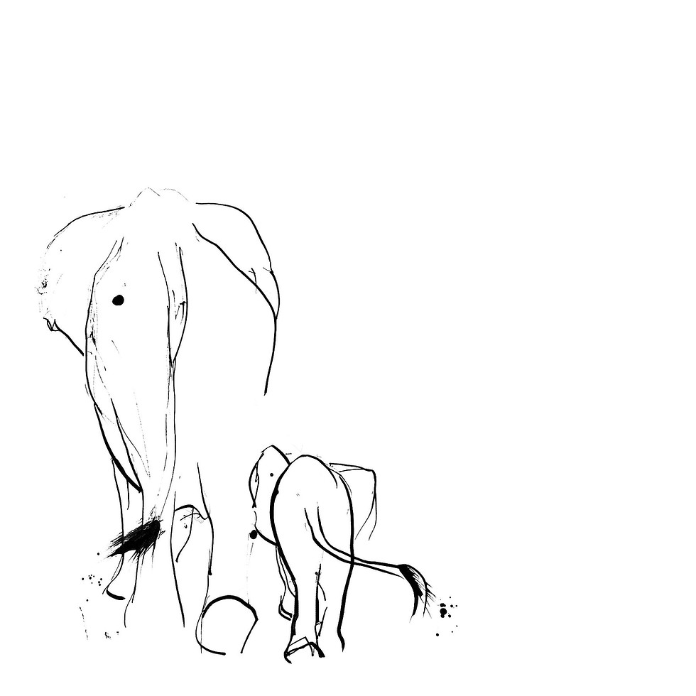 Mother and Baby Elephant art print by Jenny Fernley — black ink illustration of two elephants walking side by side.