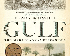 The Biography of a Place: Jack Davis’ The Gulf