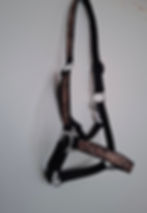 Halster Panter print