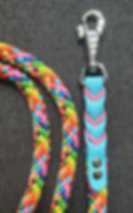 Halstertouw Regenboog kleuren