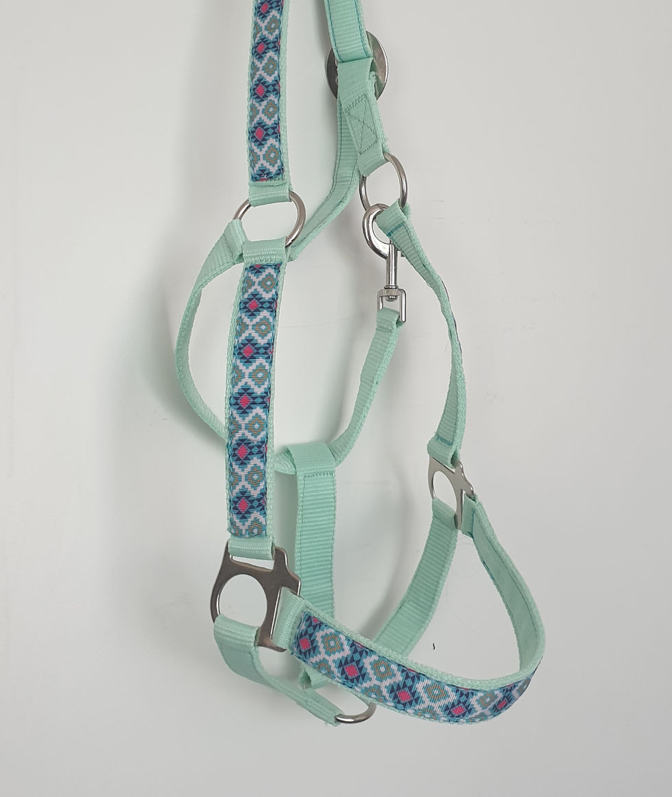 Tribal print Halster