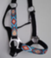 Halster Western Stijl