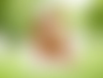 Simple Practices to Increase Your Happiness