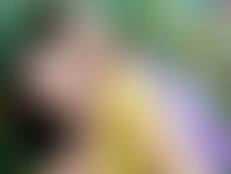 4 Keys to Bouncing Back after Life Disappoints You