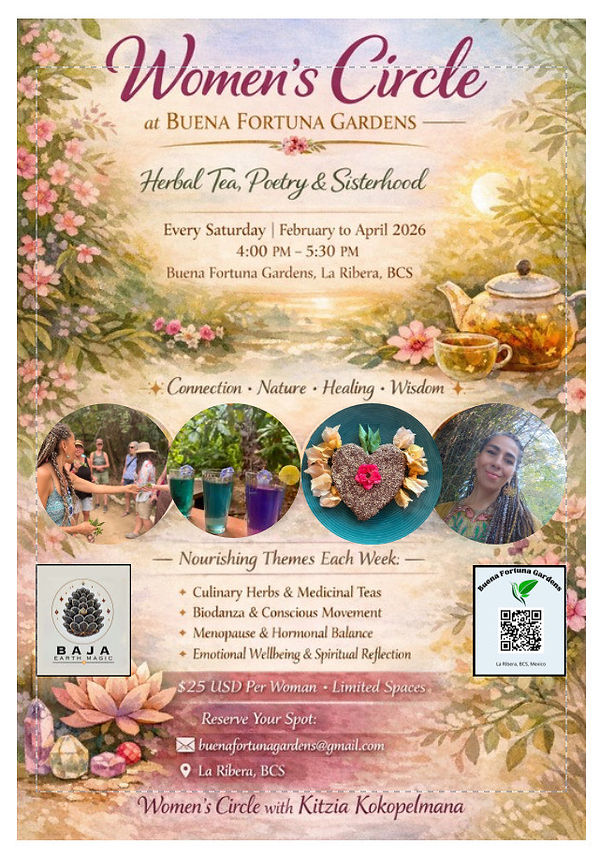 73cce8fa-0be1-4b5a-886b-d7e6e39060bb (1).jpeg