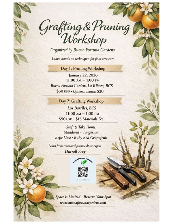 bd49f262-3ee8-4963-9f81-47551dae3b63 (1).JPG