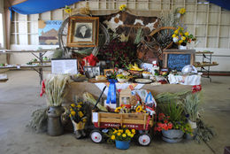 Modoc County's Centennial District Fair