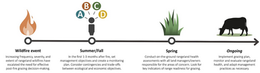Rapid User Guide: Post-Fire Grazing on California’s Intermountain Rangelands