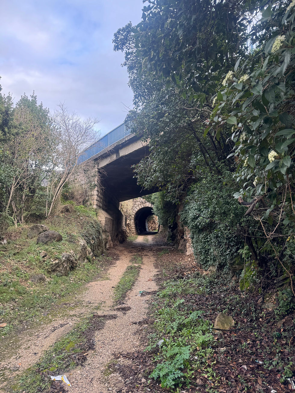 7 Things Tourists Get Wrong About Dubrovnik (According to a Local)